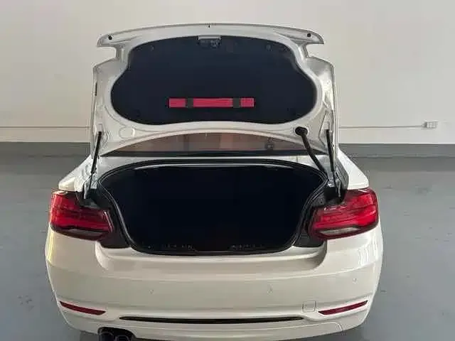 BMW 2 Series (Import) 2021 из CN, фото 9