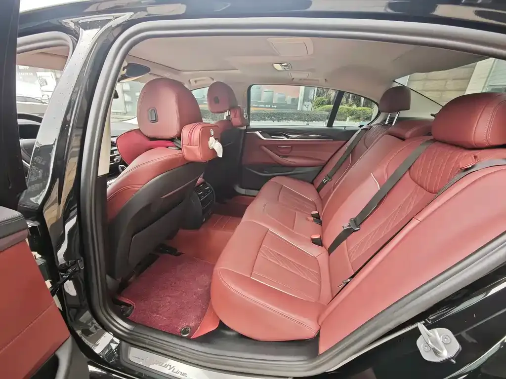 BMW 5 Series 2022 из CN, фото 7