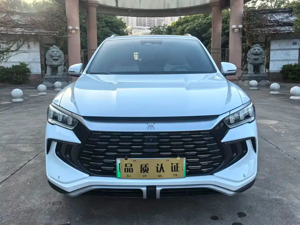 BYD Pro New Energy 2024 из CN, фото 1