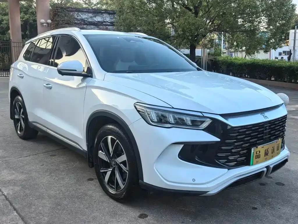 BYD Pro New Energy 2024 из CN, фото 2