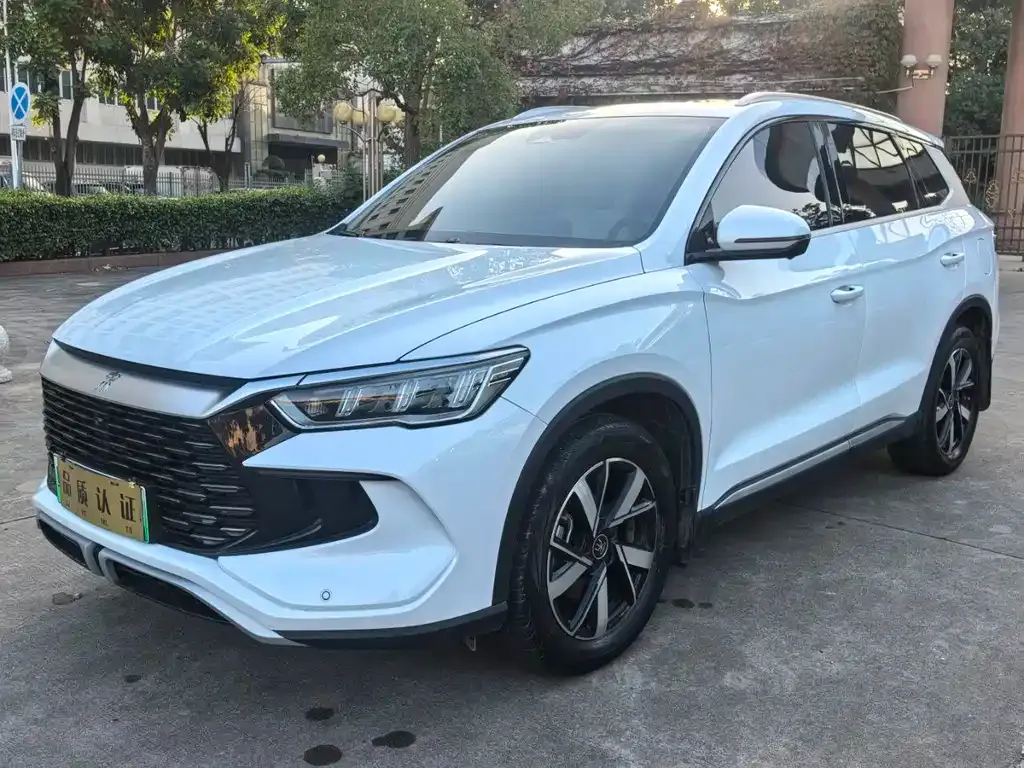 BYD Pro New Energy 2024 из CN, фото 3