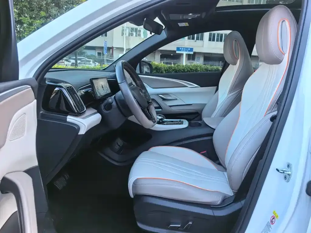 BYD Pro New Energy 2024 из CN, фото 4