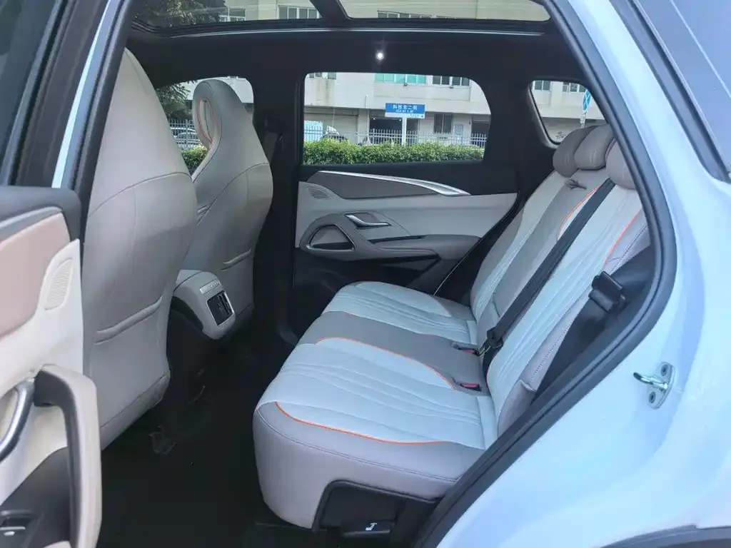 BYD Pro New Energy 2024 из CN, фото 6