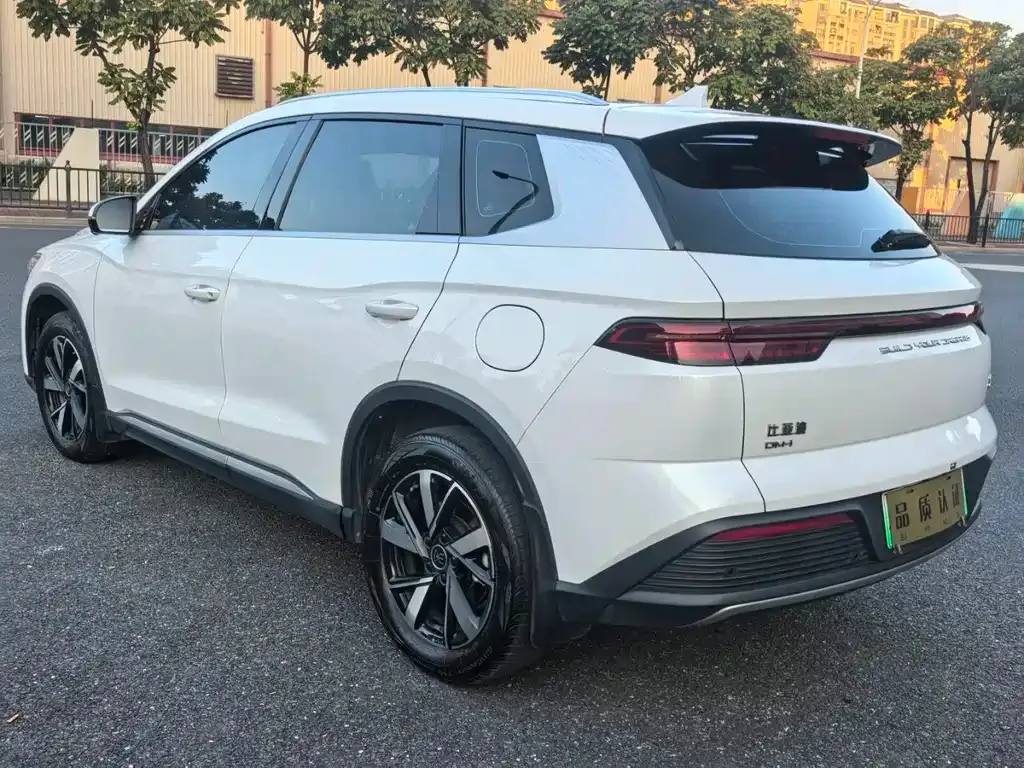 BYD Pro New Energy 2024 из CN, фото 7