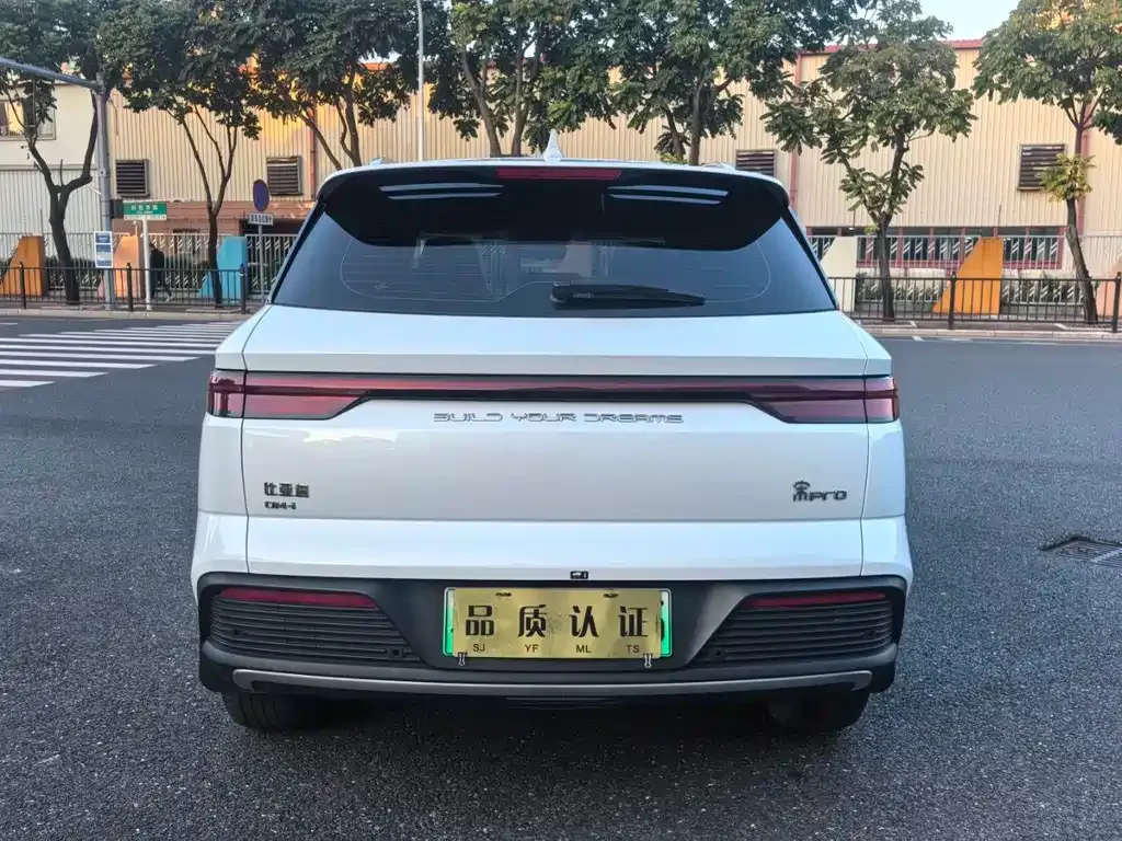 BYD Pro New Energy 2024 из CN, фото 8