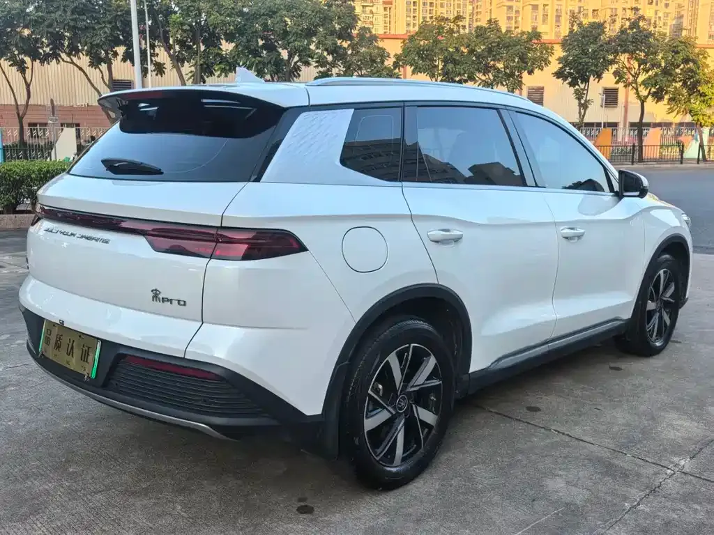 BYD Pro New Energy 2024 из CN, фото 9