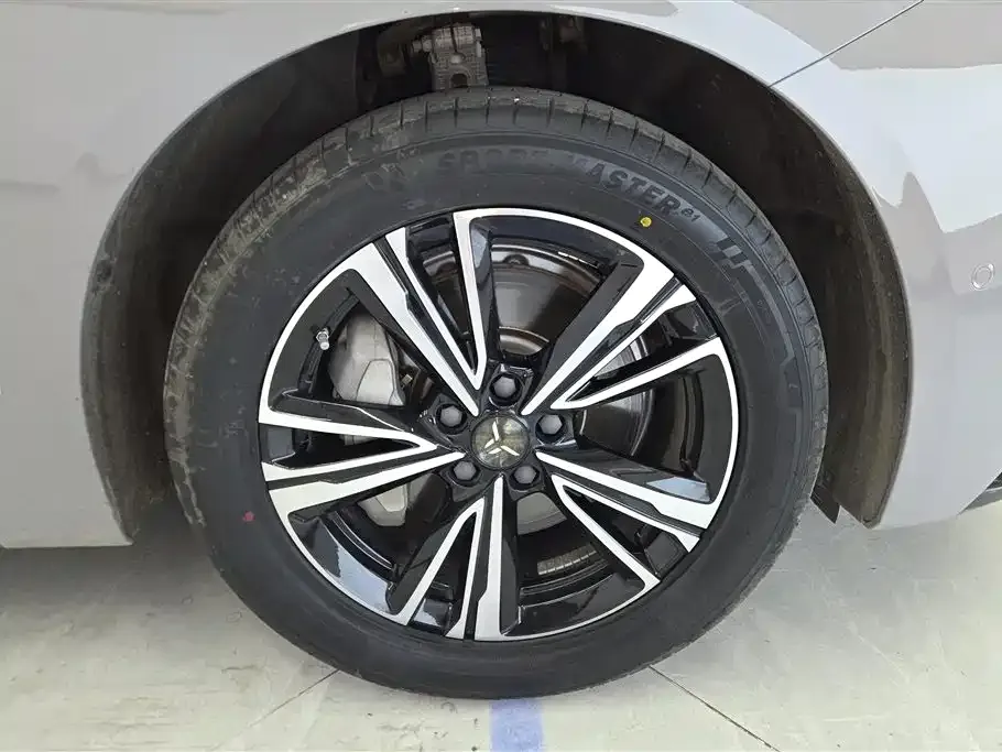 Hongqi EH7 2024 из CN, фото 10