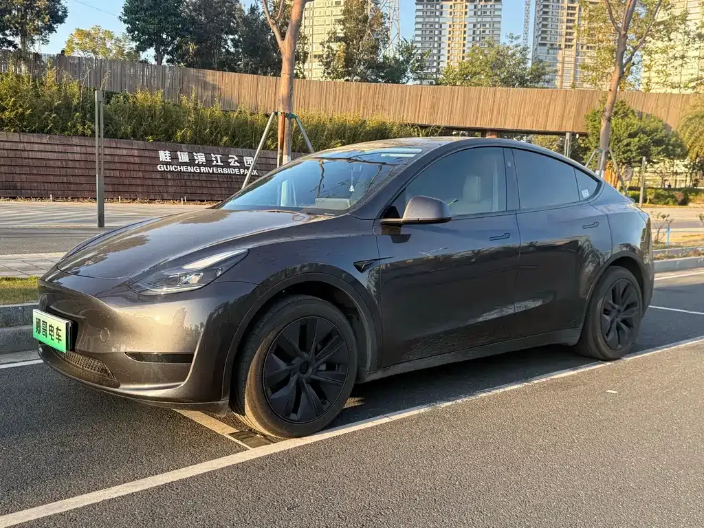 Tesla Model Y — фото 1