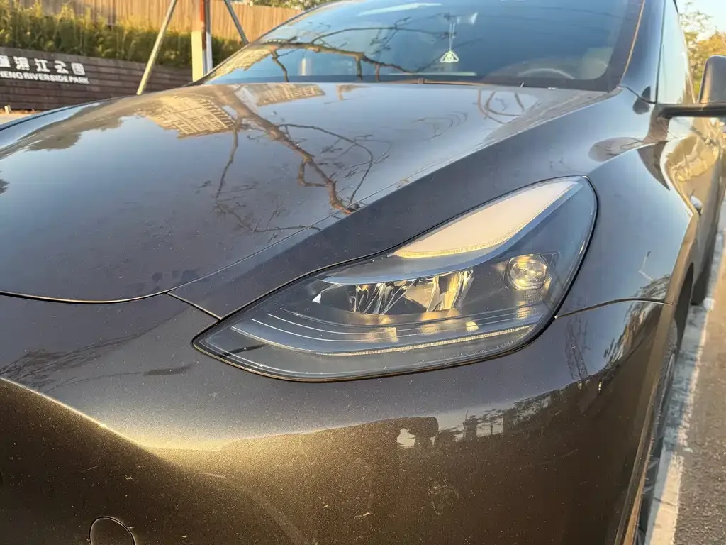 Tesla Model Y — фото 8