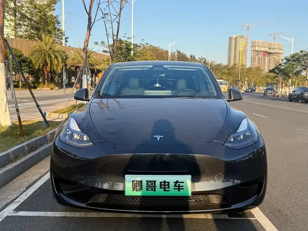 Tesla Model Y — фото 5