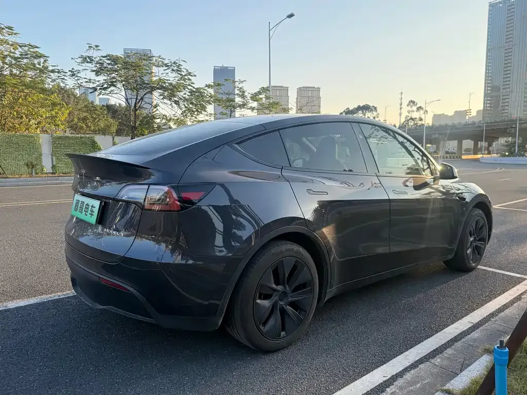 Tesla Model Y — фото 9