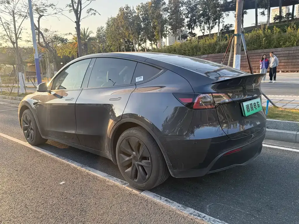 Tesla Model Y — фото 6