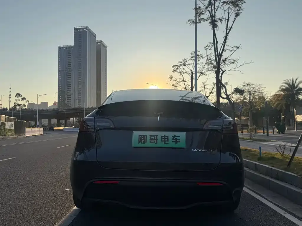 Tesla Model Y — фото 2