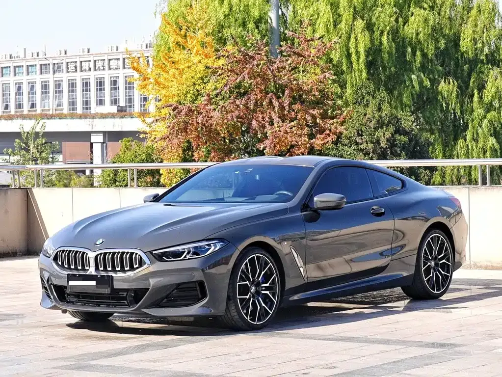 BMW 8 Series 2024 из CN, фото 1