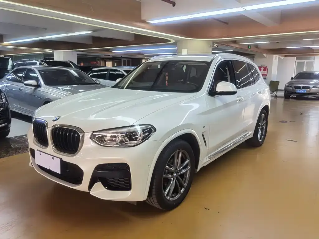 BMW X3 2021 из CN, фото 3