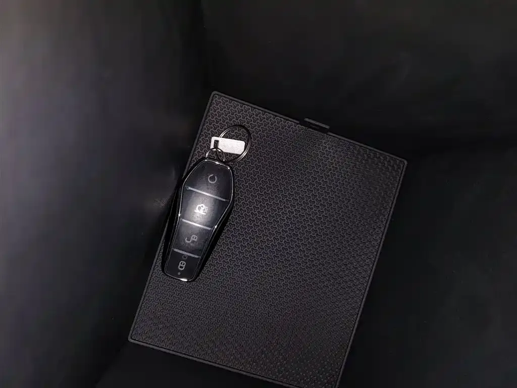 BYD Qin PLUS 2025 из CN, фото 9