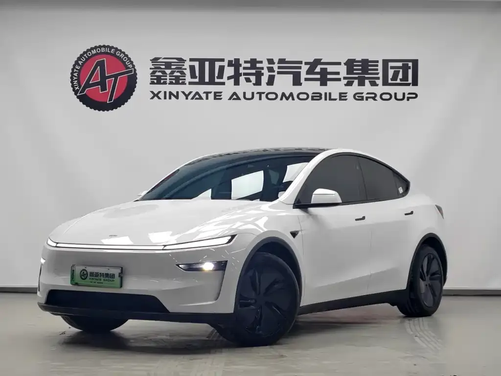 Tesla Model Y 2025 из CN, фото 2