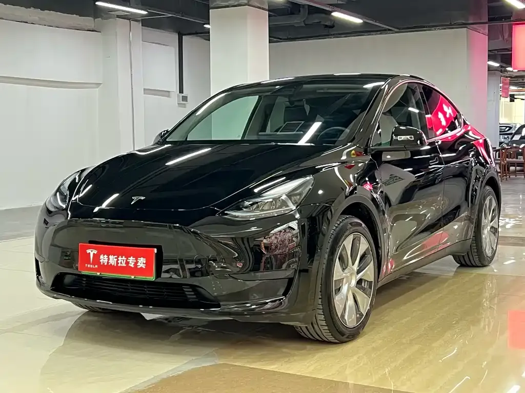 Tesla Model Y 2023 из CN, фото 1