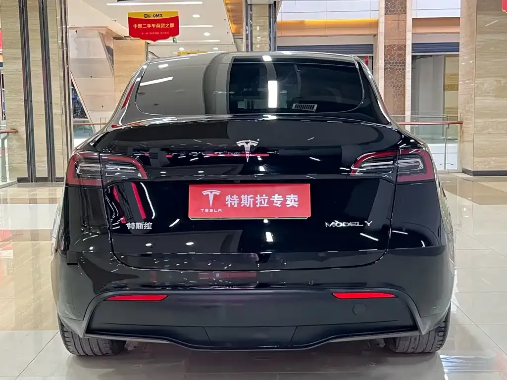 Tesla Model Y 2023 из CN, фото 9
