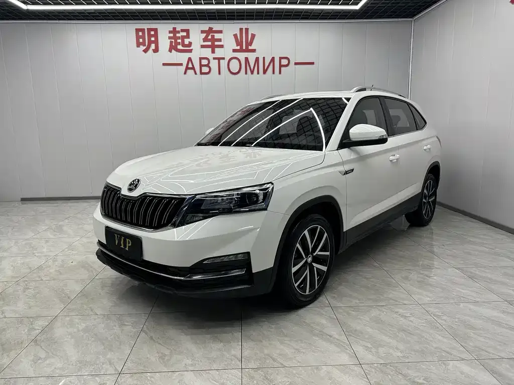 Skoda Kamiq 2021 из CN, фото 1