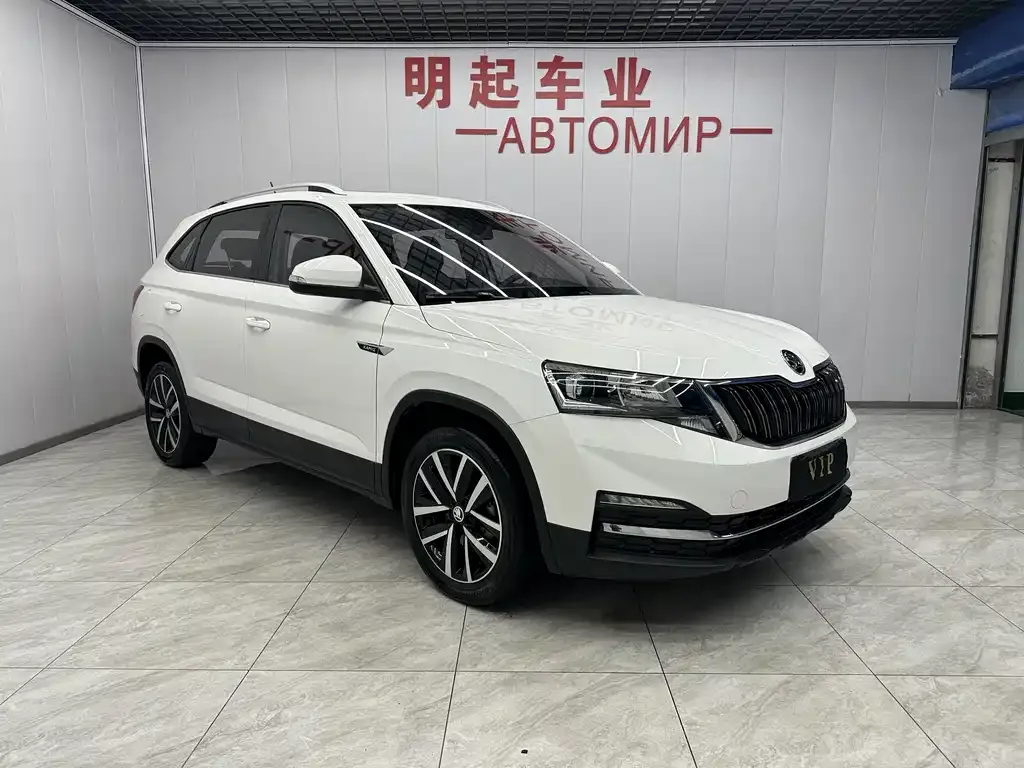 Skoda Kamiq 2021 из CN, фото 4