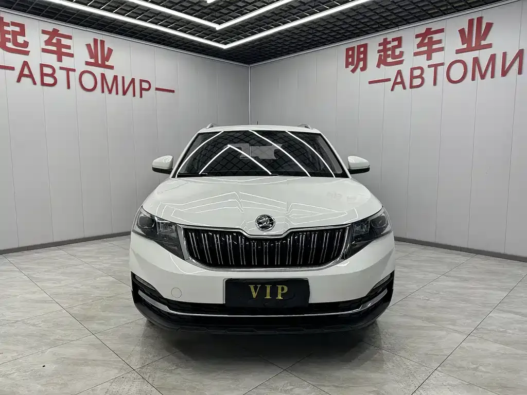 Skoda Kamiq 2021 из CN, фото 3