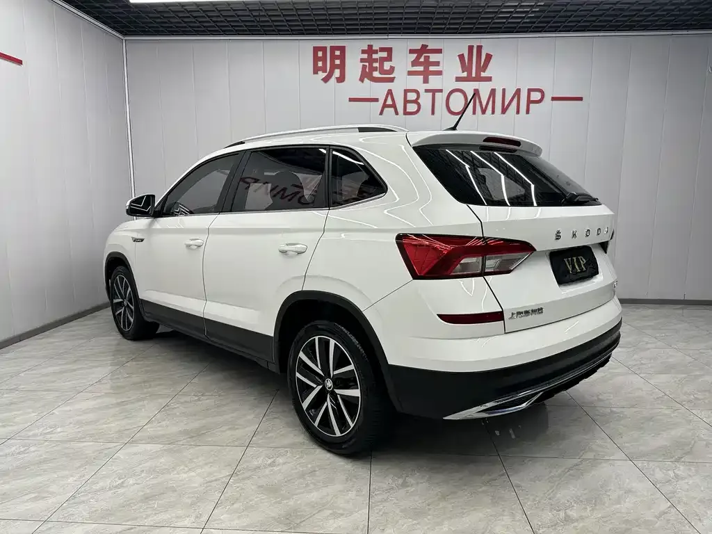 Skoda Kamiq 2021 из CN, фото 8