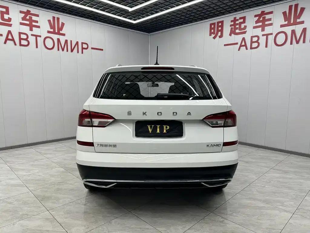 Skoda Kamiq 2021 из CN, фото 9