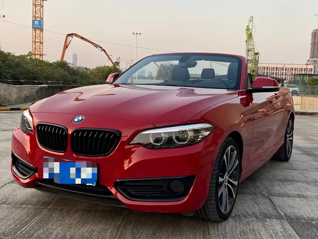 BMW 2 Series (Import) — фото 1