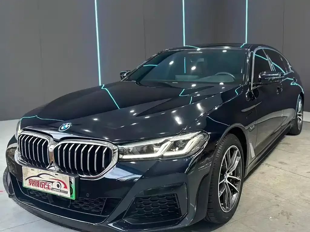 BMW 5 Series New Energy 2023 из CN, фото 1