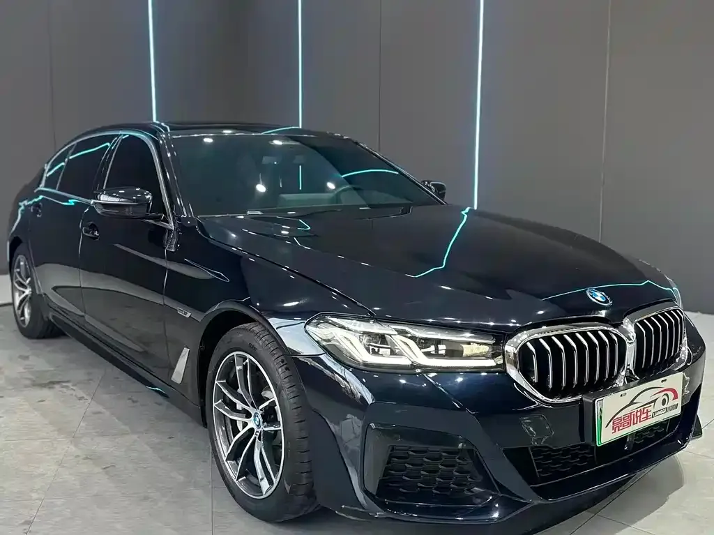 BMW 5 Series New Energy 2023 из CN, фото 5