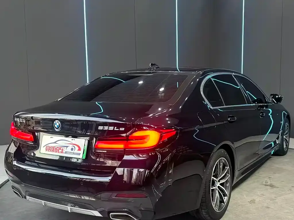 BMW 5 Series New Energy 2023 из CN, фото 7