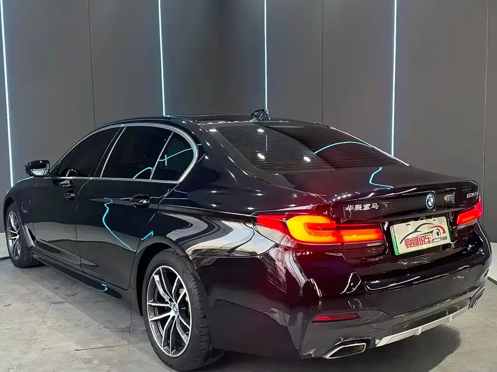 BMW 5 Series New Energy 2023 из CN, фото 6
