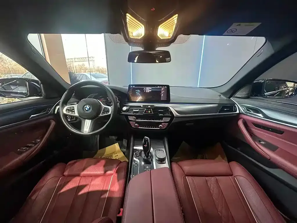 BMW 5 Series New Energy 2023 из CN, фото 8