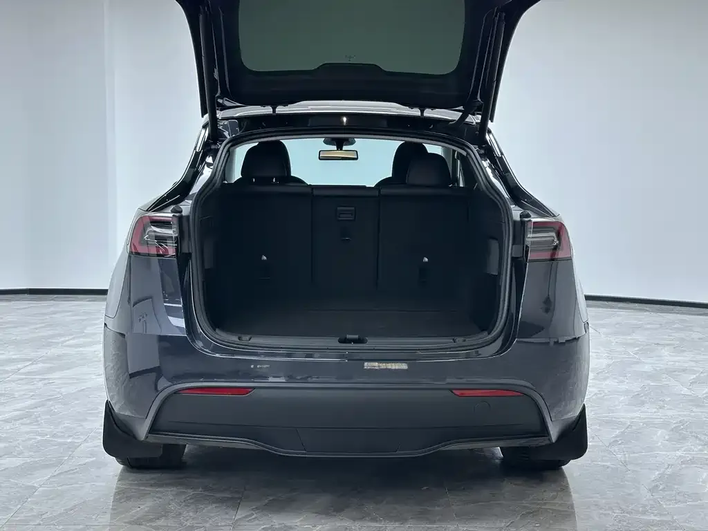Tesla Model Y 2024 из CN, фото 6