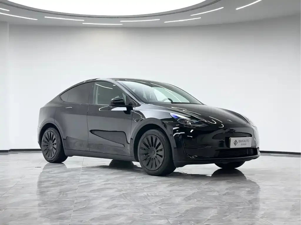 Tesla Model Y 2024 из CN, фото 10