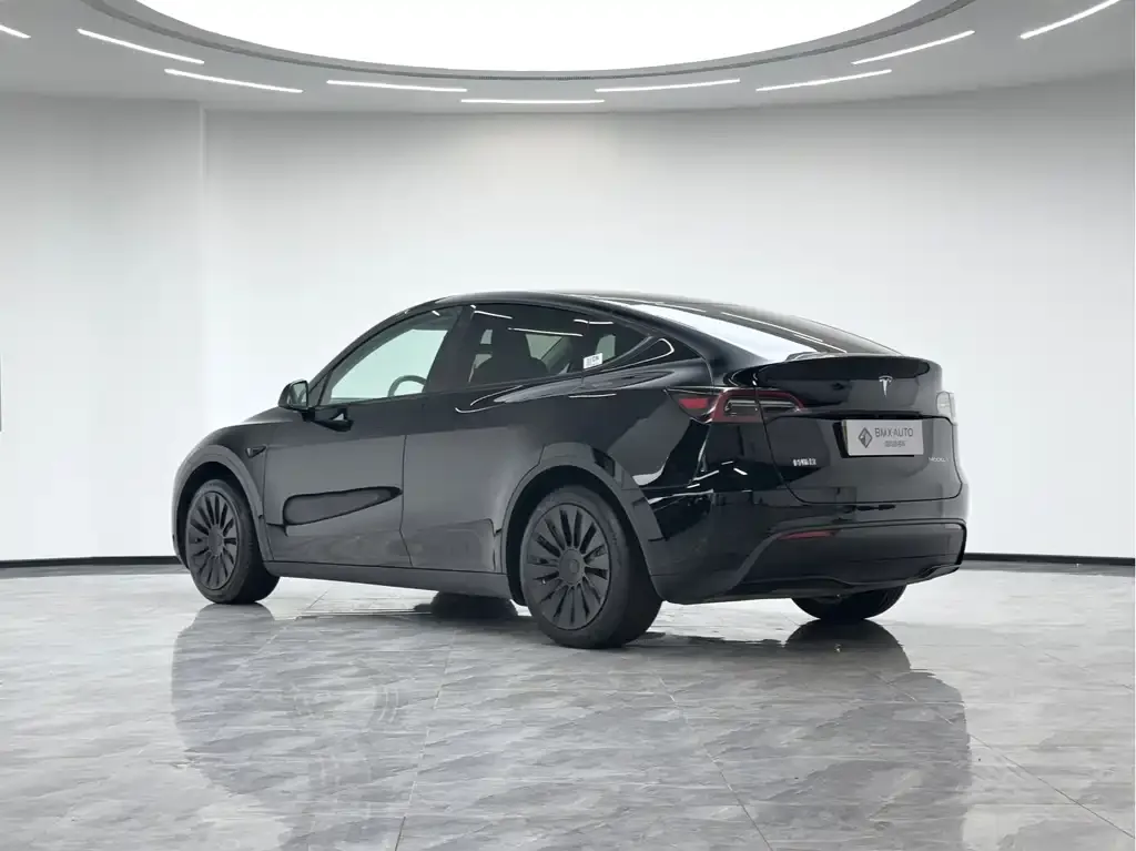 Tesla Model Y 2024 из CN, фото 5
