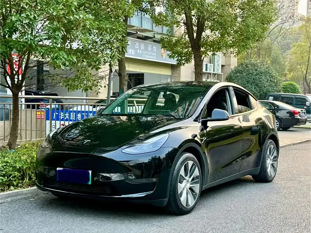 Tesla Model Y 2021 из CN, фото 1