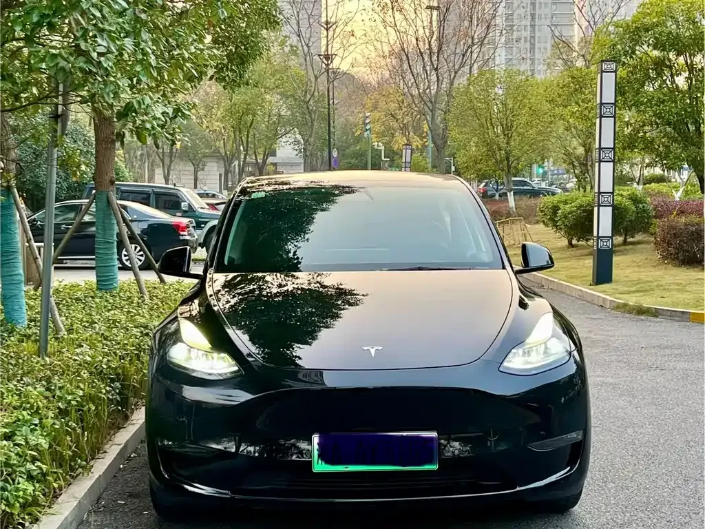 Tesla Model Y 2021 из CN, фото 8