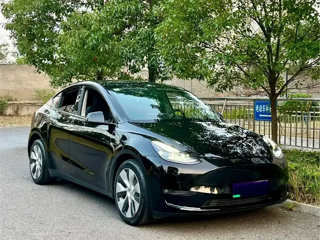 Tesla Model Y 2021 из CN, фото 4
