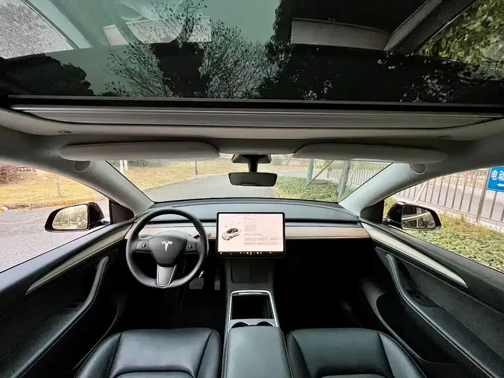 Tesla Model Y 2021 из CN, фото 3