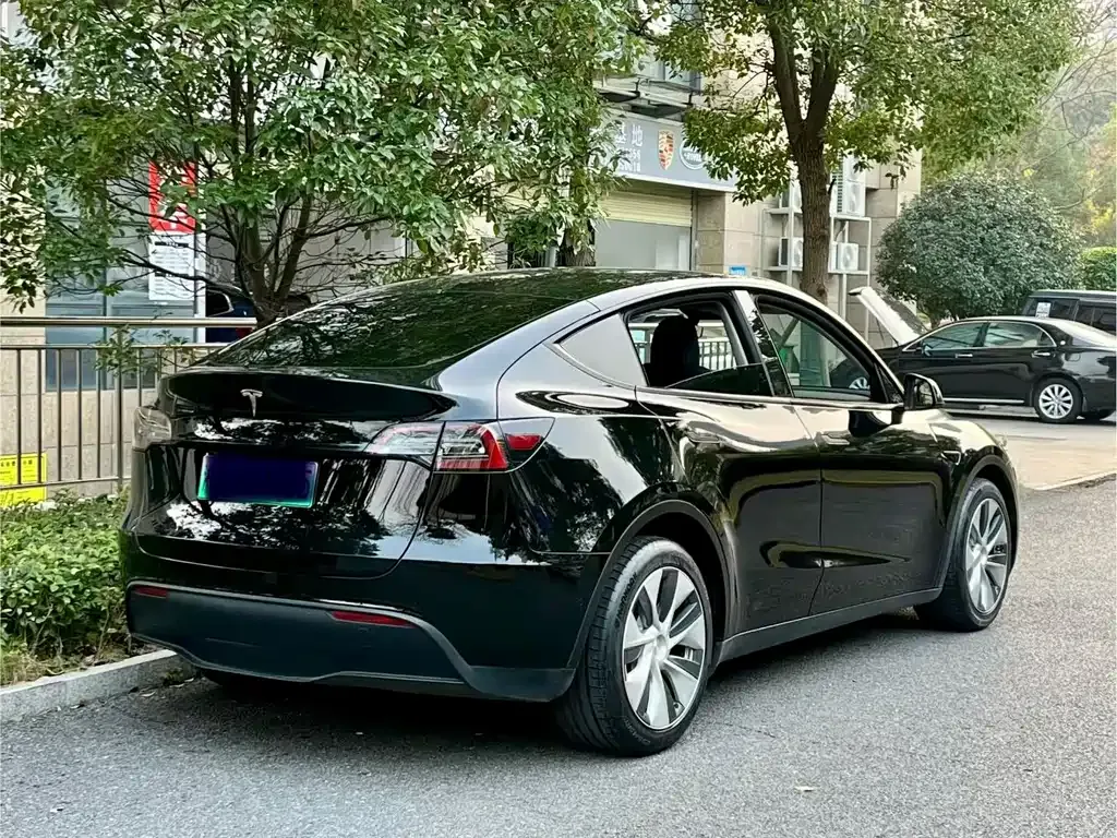 Tesla Model Y 2021 из CN, фото 5