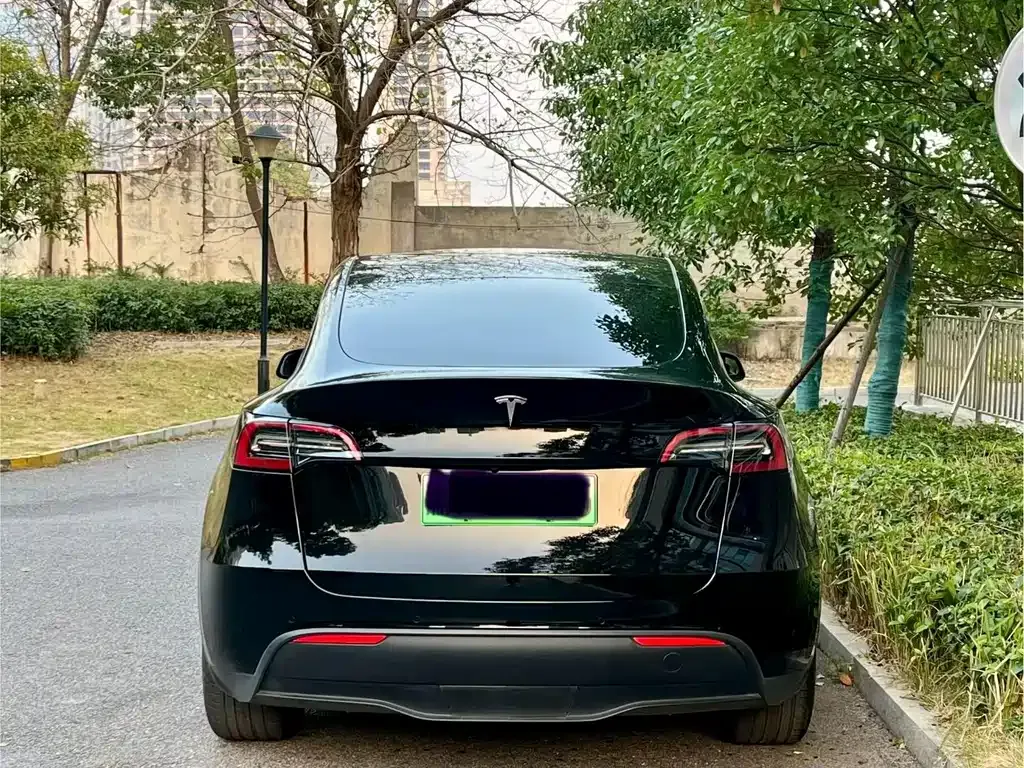 Tesla Model Y 2021 из CN, фото 9