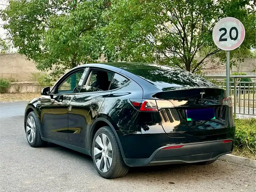 Tesla Model Y 2021 из CN, фото 6
