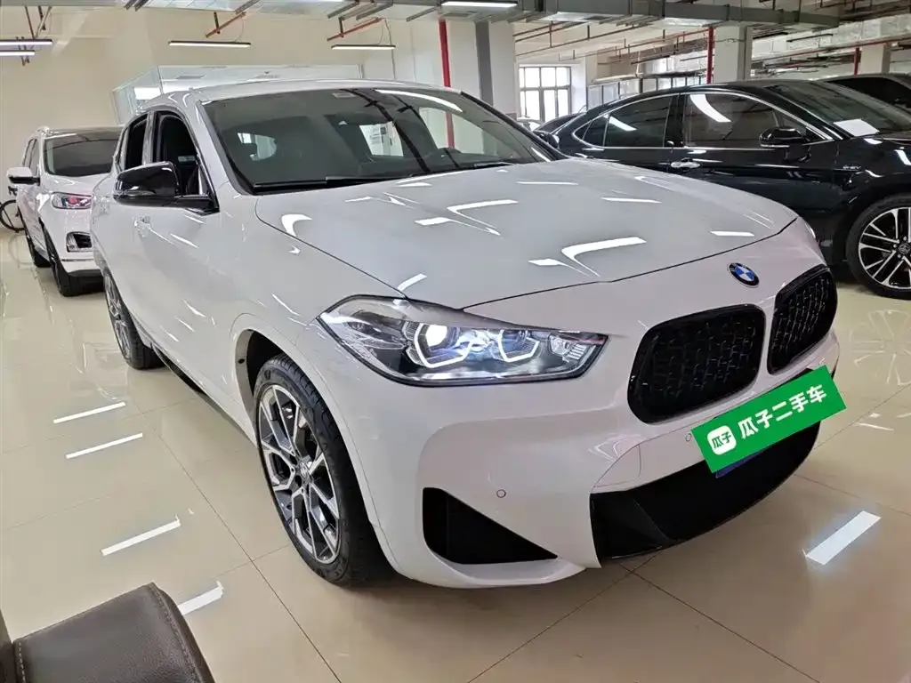 BMW X2 2022 из CN, фото 9