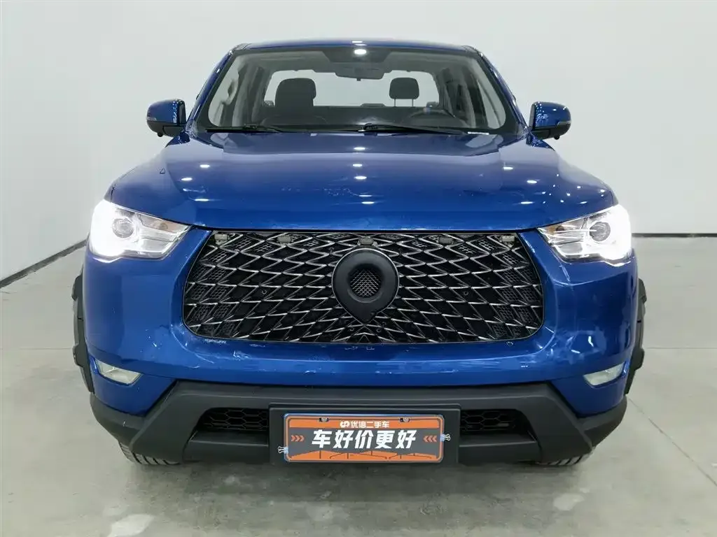 Great Wall Pao 2022 из CN, фото 8