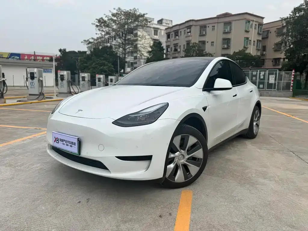 Tesla Model Y 2022 из CN, фото 1