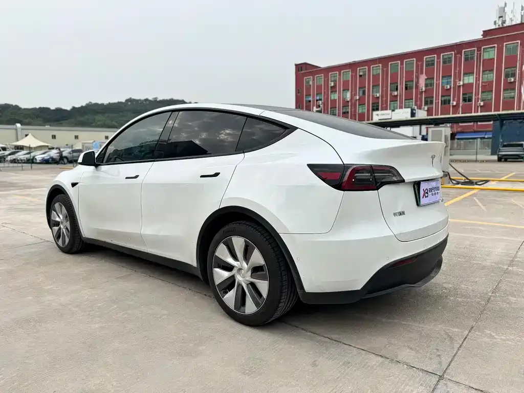 Tesla Model Y 2022 из CN, фото 6