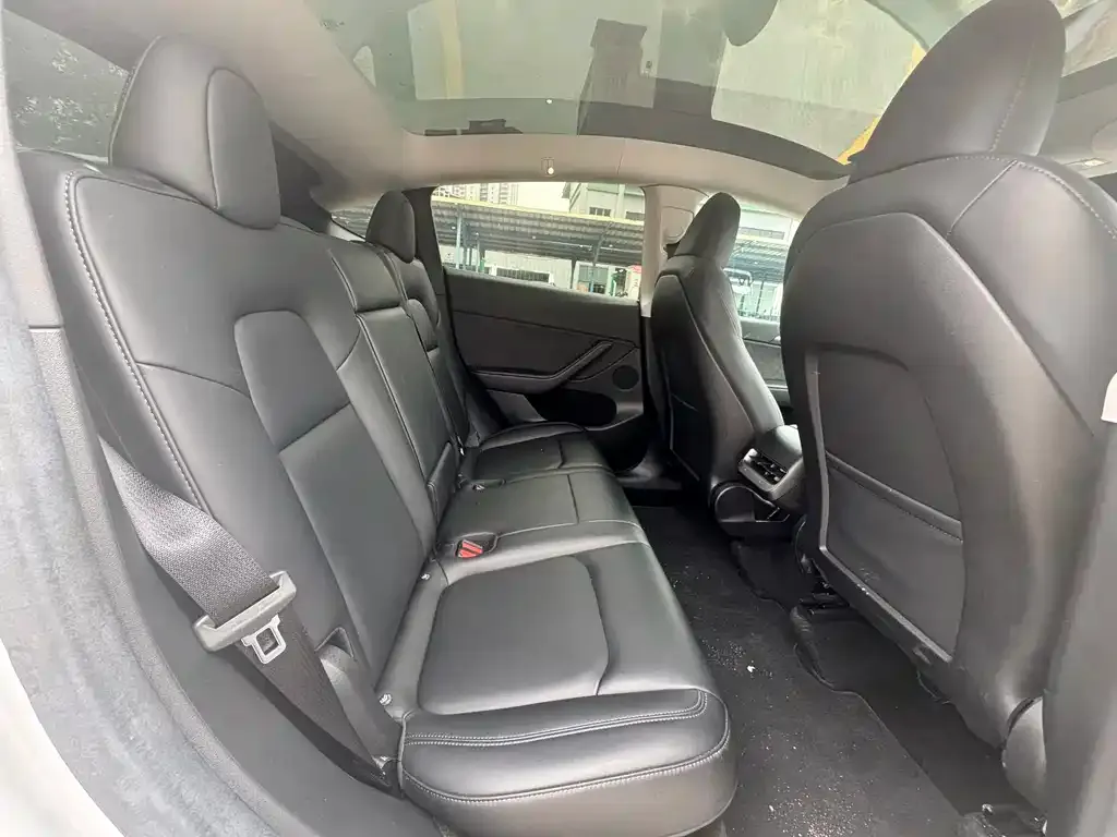 Tesla Model Y 2022 из CN, фото 2