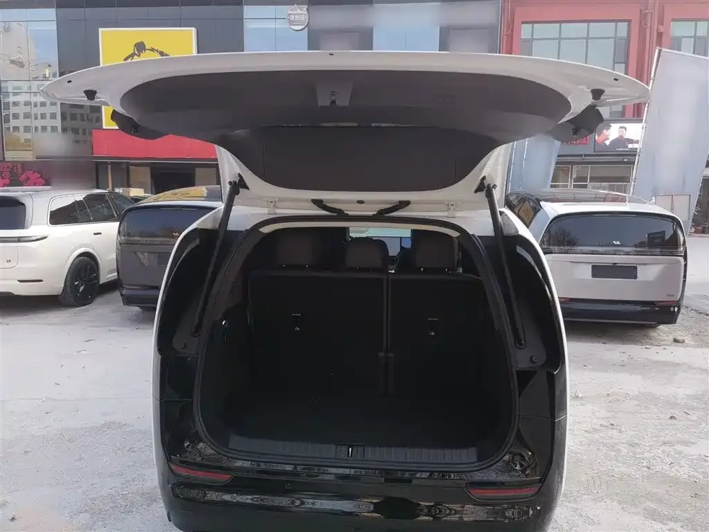 Li Auto MEGA 2024 из CN, фото 10